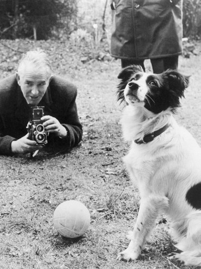 Pickles the dog who found the stolen Jules Rimet Cup™, 1966